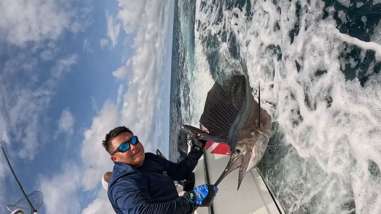 WhatsApp Image 2025-10-04 at 4.51.56 PM (1)